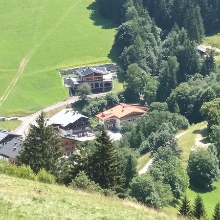 Haus Dienten Top 11 Dienten am Hochkoenig Exterior photo